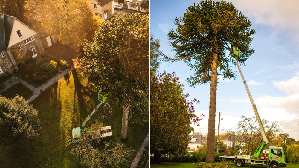 SERPE - Entretien d’un parc chez un particulier à Vire en Normandie 1.png